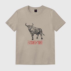 Мужская футболка Сила духа