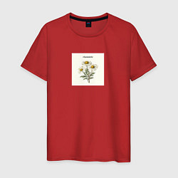 Футболка хлопковая мужская Ромашки chamomile, цвет: красный