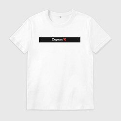 Мужская футболка Сириус города России