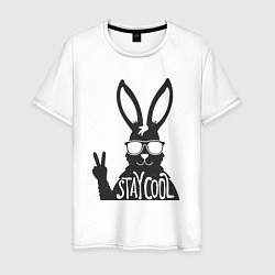 Мужская футболка Stay cool rabbit