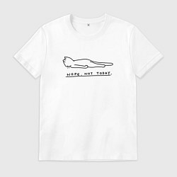 Мужская футболка Нет не сегодня - котик