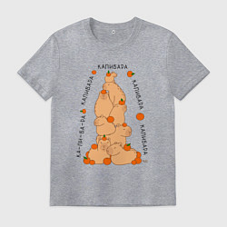 Футболка хлопковая мужская Гора капибара, цвет: меланж