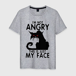 Футболка хлопковая мужская I am not angry cat, цвет: меланж