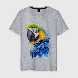 Футболка хлопковая мужская Сине-золотой попугай ара, цвет: меланж