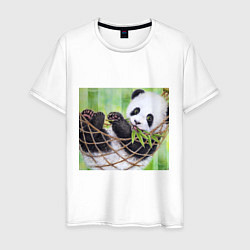 Футболка хлопковая мужская Панда медвед, цвет: белый