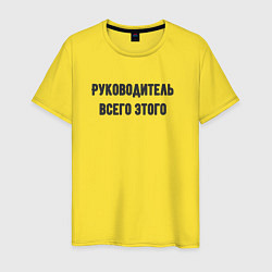 Мужская футболка Руководитель всего этого