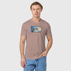 Футболка хлопковая мужская Два кота, цвет: пыльно-розовый — фото 2