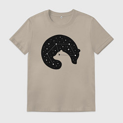 Мужская футболка Большая медведица в космосе