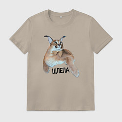 Мужская футболка Каракет кот Шлепа блоггер