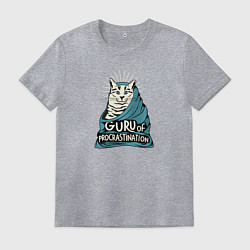 Футболка хлопковая мужская Кот гуру прокрастинации, цвет: меланж
