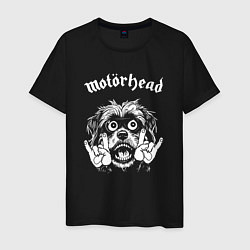 Мужская футболка Motorhead rock dog