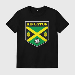 Мужская футболка Kingston volleyball