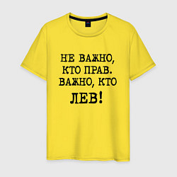 Мужская футболка Не важно кто прав, главное кто лев - каламбурный ю