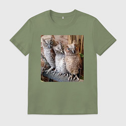 Мужская футболка Три совы - мем