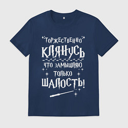 Мужская футболка Замышляю только шалость