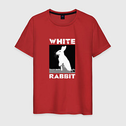 Мужская футболка White rabbit