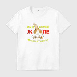 Мужская футболка Мы в полной жопе