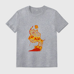 Мужская футболка НСК