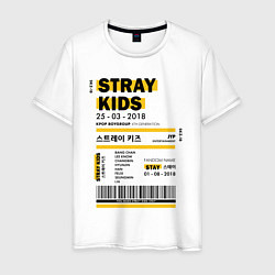 Футболка хлопковая мужская Stray kids ticket, цвет: белый