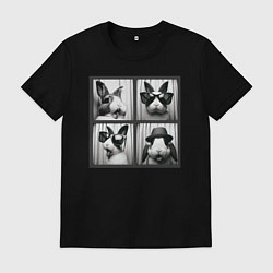 Мужская футболка Кролик в фотобудке