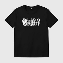 Мужская футболка Сектор газа белый логотип