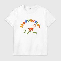 Мужская футболка Лемур в Мадагаскаре