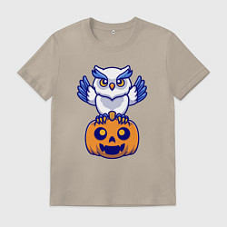 Мужская футболка Halloween owl