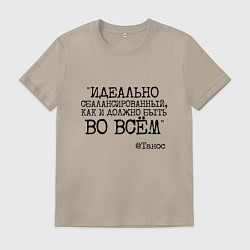 Мужская футболка Идеально сбалансированный как должно быть во всем