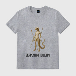 Футболка хлопковая мужская Serpentini Toiletini, цвет: меланж