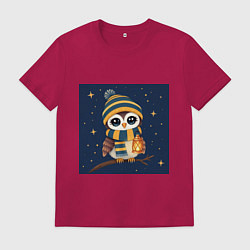 Мужская футболка Сова в шапке и шарфе с фонарём