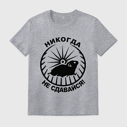 Мужская футболка Хомяк в колесе