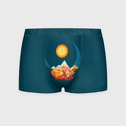 Трусы-боксеры мужские Лиса под солнцем, цвет: 3D-принт