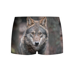 Трусы-боксеры мужские Волк - санитар леса, цвет: 3D-принт