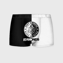 Трусы-боксеры мужские Ramones B&W, цвет: 3D-принт