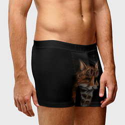 Трусы-боксеры мужские Королевский лис, цвет: 3D-принт — фото 2