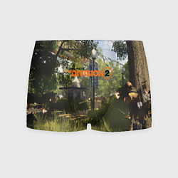 Мужские трусы Tom Clancy's The Division