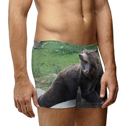Трусы-боксеры мужские Медведь, цвет: 3D-принт — фото 2