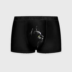 Трусы-боксеры мужские Кошка, цвет: 3D-принт