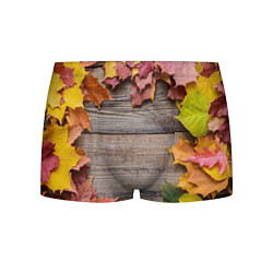 Трусы-боксеры мужские Осенний Забор, цвет: 3D-принт