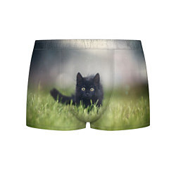 Трусы-боксеры мужские Черный кот на лугу, цвет: 3D-принт