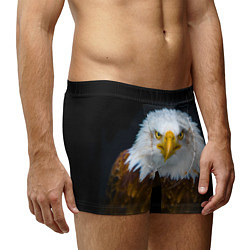 Трусы-боксеры мужские Белоголовый орлан, цвет: 3D-принт — фото 2