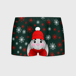 Трусы-боксеры мужские Зимний кролик и снежинки, цвет: 3D-принт