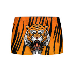 Трусы-боксеры мужские Разгневанный тигр голова, цвет: 3D-принт