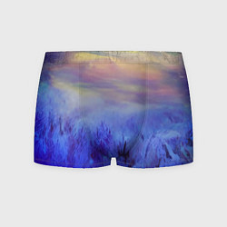 Мужские трусы Морозное поле