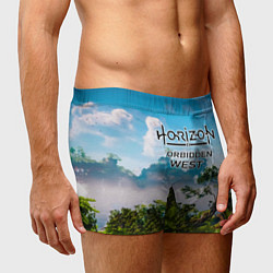 Трусы-боксеры мужские Horizon Forbidden West Хоризон Запретный Запад, цвет: 3D-принт — фото 2