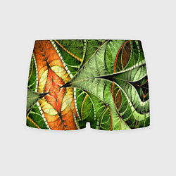 Трусы-боксеры мужские Растительный абстрактный фрактальный паттерн Veget, цвет: 3D-принт