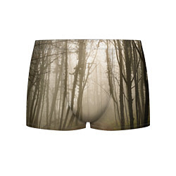 Трусы-боксеры мужские Туманный лес на восходе, цвет: 3D-принт