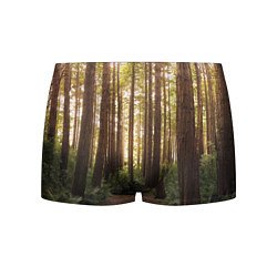 Трусы-боксеры мужские Дневной лес, деревья и свет, цвет: 3D-принт