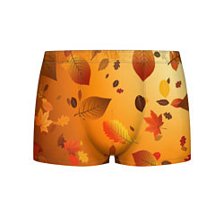 Трусы-боксеры мужские Осенний тёплый ветер, цвет: 3D-принт