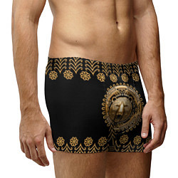 Трусы-боксеры мужские Медведь золотой барельеф с этническим орнаментом, цвет: 3D-принт — фото 2